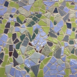 Seagrass mosaic